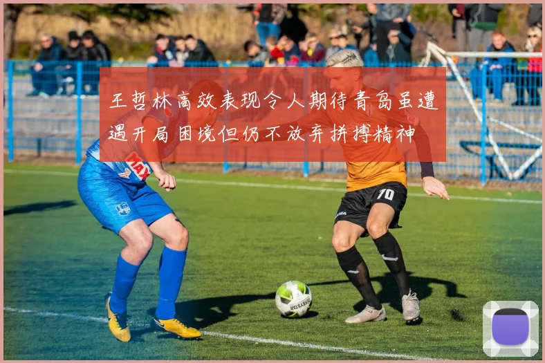 王哲林高效表现令人期待青岛虽遭遇开局困境但仍不放弃拼搏精神